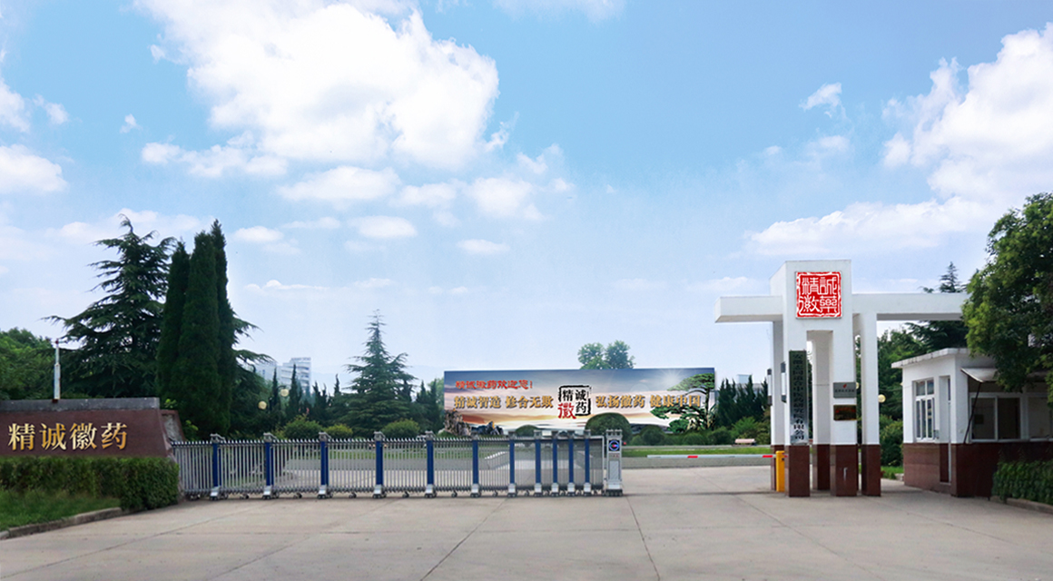 精诚徽药 定图.jpg