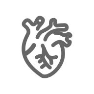 KS凯时·(中国区)官方网站