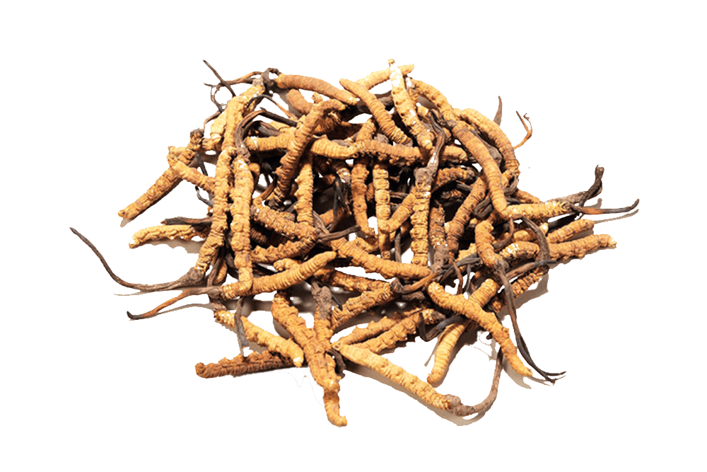 KS凯时·(中国区)官方网站