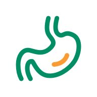 KS凯时·(中国区)官方网站