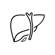 KS凯时·(中国区)官方网站